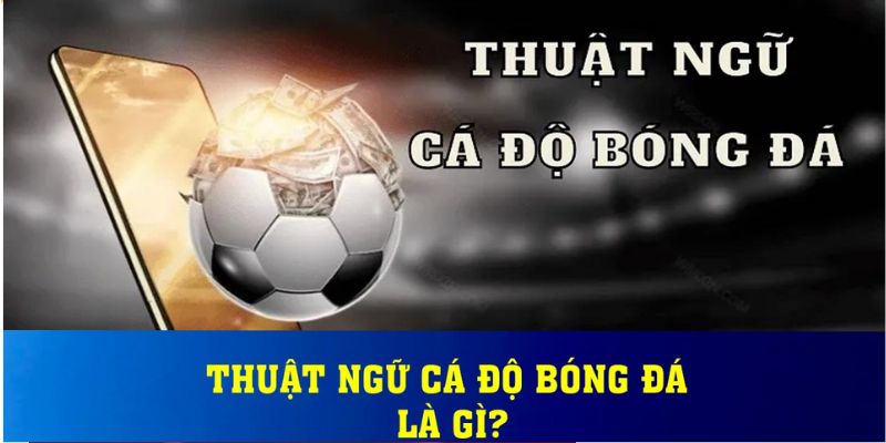 Các thuật ngữ bóng đá phổ biến