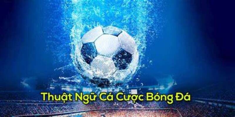 Những thuật ngữ từ lóng phổ biến trong cá cược bóng đá

